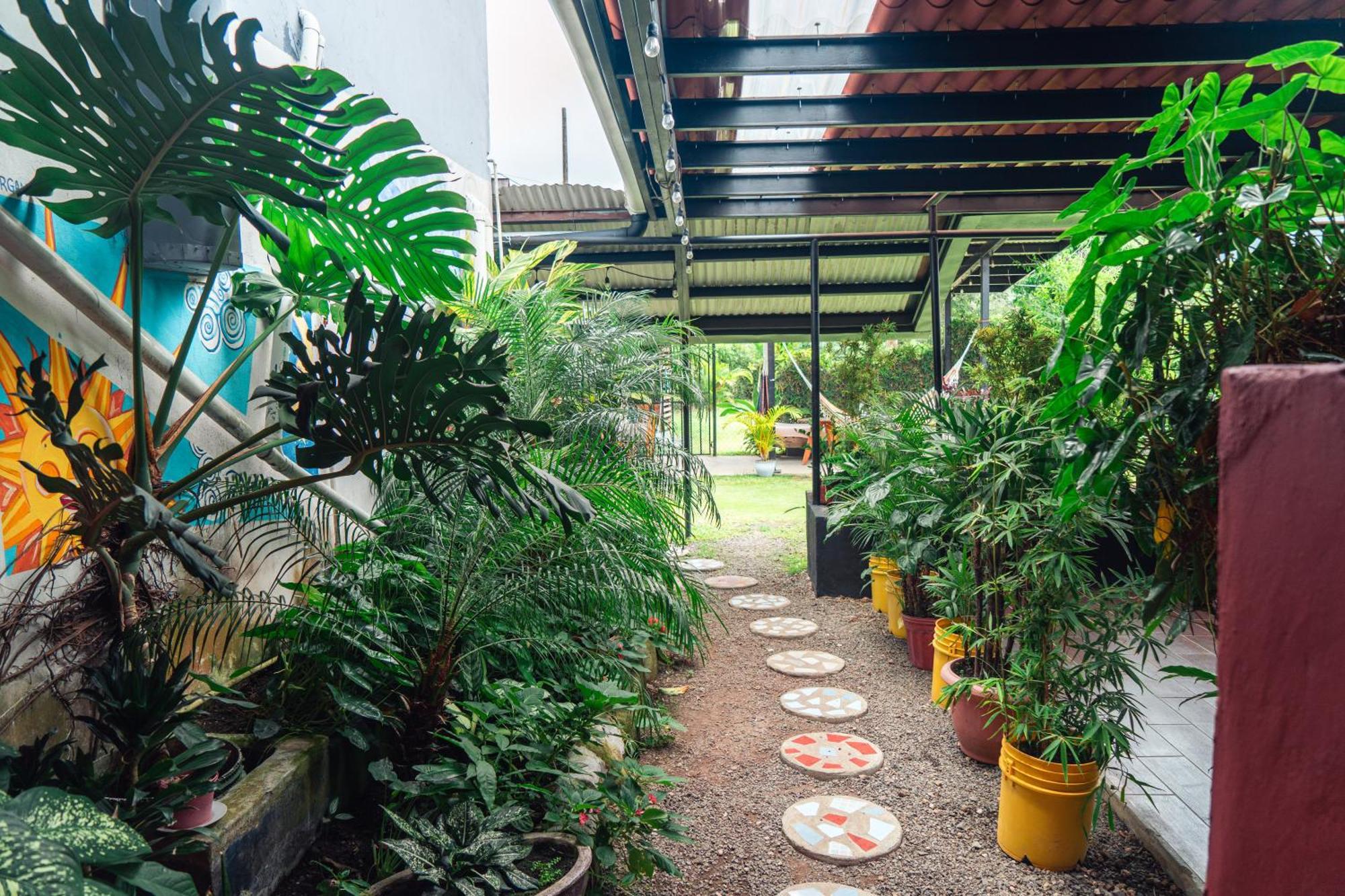 Bodhi Hostel & Lounge El Valle de Anton Экстерьер фото